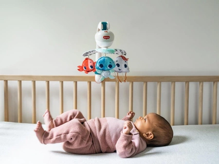 Karuzela podróżna - Skarby Oceanu