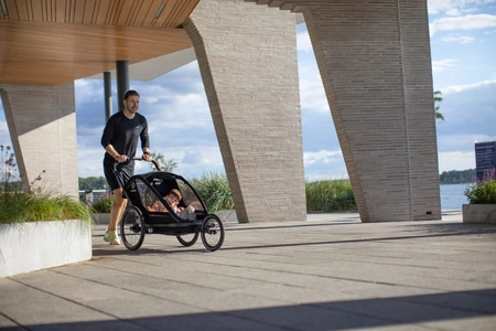 Hamax - Przyczepka rowerowa BREEZE, podwójna - Back