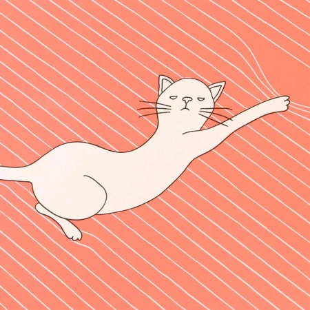 Duży Zeszyt - Felines - Koty - Asking Fur Trouble (Bold Orange)