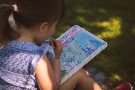 Magnetyczny labirynt Łąka, Janod