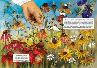 Skąd się bierze miód opowiem ci mamo