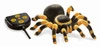 Tarantula 37291