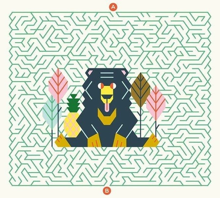 Auzou Kreślenie po śladach - Labirynty w dżungli 80216