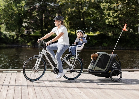 Hamax - Przyczepka rowerowa dla psa - Pluto M do 35 kg - Green / Black