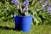 Składane wiaderko do wody i piasku Scrunch Bucket - Wiśniowy
