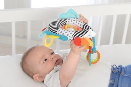 Zabawka sensoryczna Ptaszek, Dolce