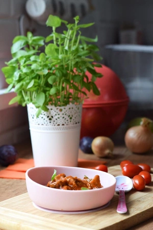 Miseczka-Talerzyk Doidy Bowl z przyssawką - szary