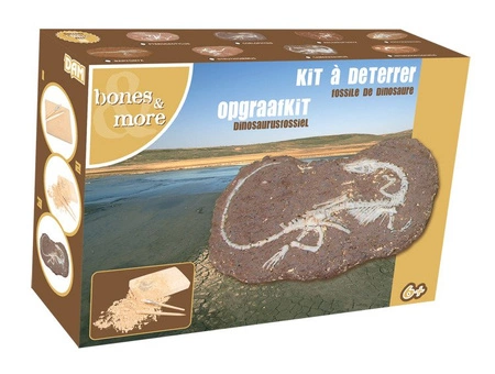 Bones&More, Duży szkielet dinozaura - wykopalisko na kamieniu