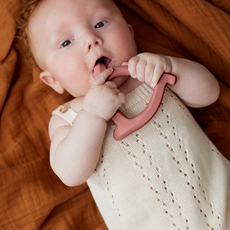 Gryzak silikonowy, ceglany, Everyday Baby
