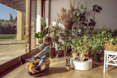 Pluszowy jeździk Lew La Cosa Soft Italtrike