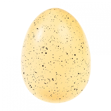 Rekin wykluwający się z jajka, zestaw kreatywny, Ocean, 3+, Rex London