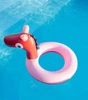 QUUT Kółko do pływania średnie Ø 50 cm Koń