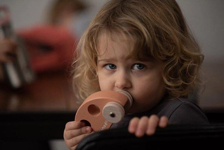 Drewniane pojazdy Sweet Cocoon, opakowanie zbiorcze 8 sztuk (3 modele: 3+3+2), Janod