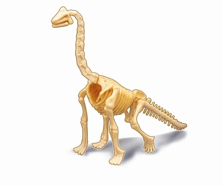Mały paleontolog - Brachiozaur 445BRA