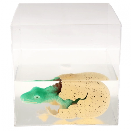 Dinozaur wykluwający się z jajka, zestaw kreatywny, Dinozaury, 3+, Rex London
