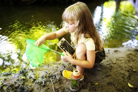 Zestaw akcesoriów małego odkrywcy z siatką na motyle Discover 12338 Small Foot