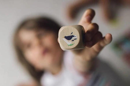 Gra zręcznościowa Serowa bitwa 4+, Janod