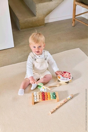 Zestaw zabawek muzycznych Sunshine 18m+, Janod