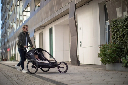 Hamax - Przyczepka rowerowa COCOON, podwójna - Grey/black