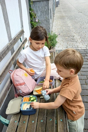 Lassig Lunchbox z wkładką Tiny Outdoor Rainbow