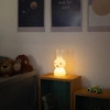 MrMaria Miffy Shines