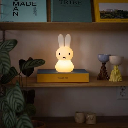 MrMaria Miffy Shines