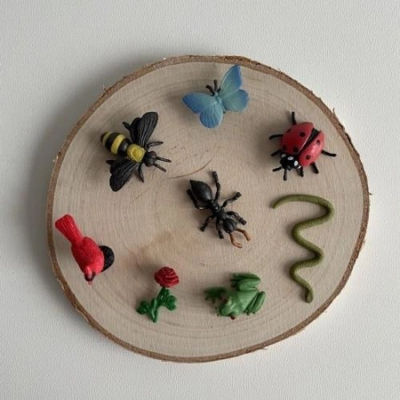 Safari Ltd. Zestaw Figurek Mini Życie w Ogrodzie