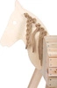 Drewniany koń ze schowkiem do zabawy w plenerze 12313-SF Small Foot