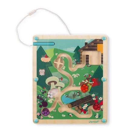 Magnetyczny labirynt Las, Janod