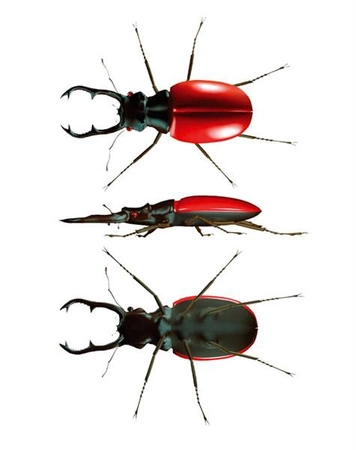 Navir, Pojemnik dwukomorowy do obserwacji