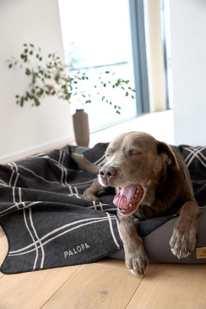 PALOPA Legowisko dla psa bawełniane Fred anthracite XS