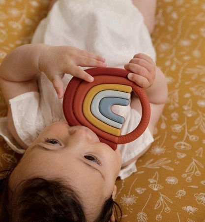 Little Dutch Gryzak Tęcza 2005438