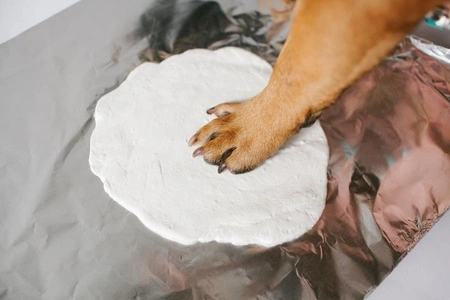 Pearhead Odcisk Łapy Pupila Zawieszka