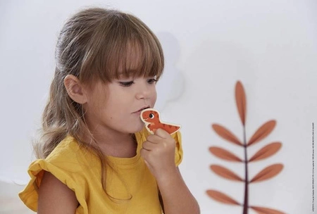 Magnesy drewniane Dinozaury 24 sztuki 2+, Janod