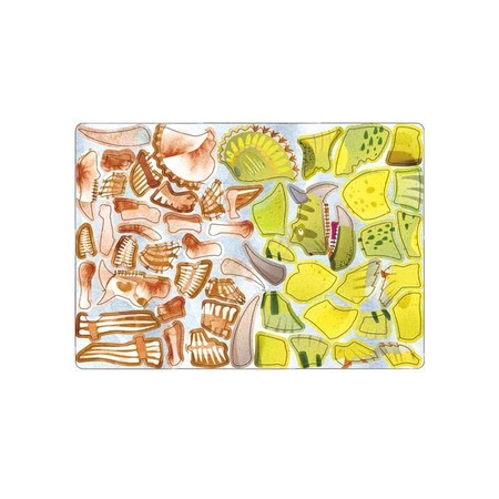 mierEdu Zabawa magnetyczna - Triceratops ME0545