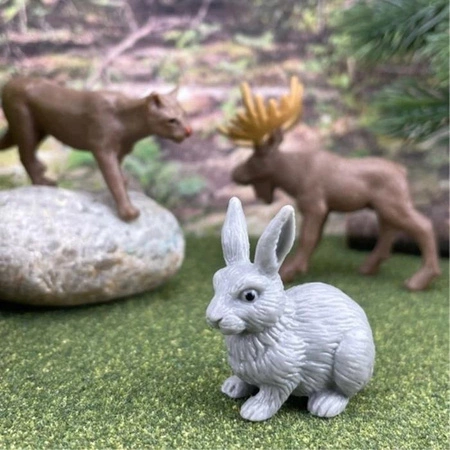 Safari Ltd. Zestaw Figurek - Mieszkańcy Lasu