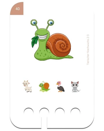 WiemTo Karty Zwierzęta i ich Dzieci 2-3 Latka