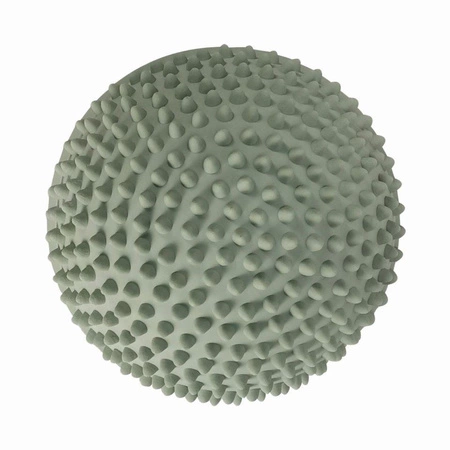 Ścieżka sensoryczna Find that Hippo - Zachód słońca