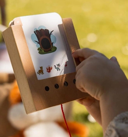 WiemTo Pudełko i 1 Zestaw Kart. Zestaw Startowy dla dzieci 3+