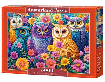 Puzzle 3000 Flower Owl Meeting C-300723-2