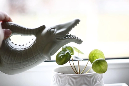 Silikonowa Konewka Krokodyl Scrunch - Ciemny Szary