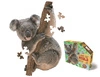 MADD CAPP, Puzzle konturowe I AM LIL' - Koala 100 elem.