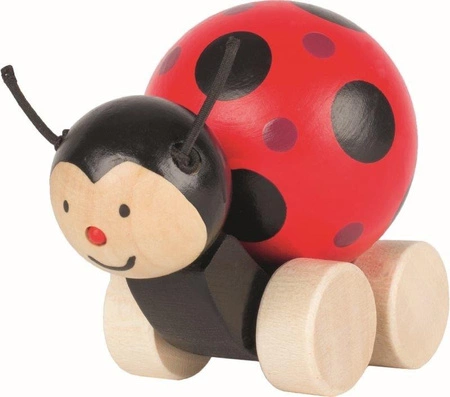 Biedronka z zakręconą kulą, goki