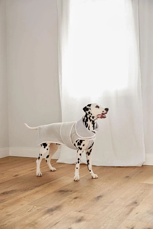 PALOPA Szlafrok dla psa Robi beige S