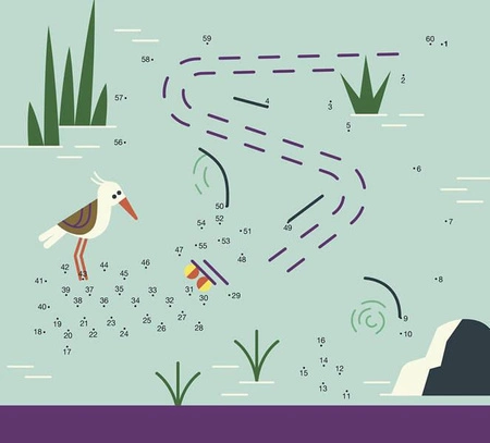 Auzou 20 gier i łamigłówek Pośród zwierząt 77005