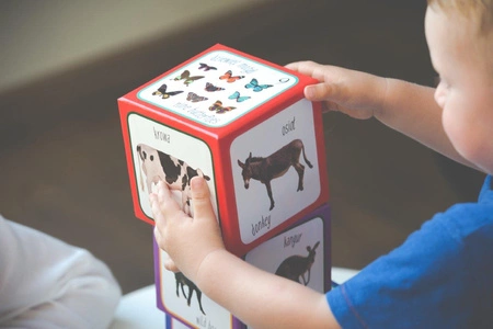 Kartonowe Klocki Dla Dzieci - Zwierzęta Piramida Zabaw