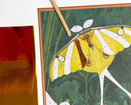 Zestaw z folią transferową DOOKOŁA ŚWIATA 719186