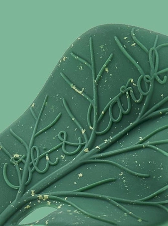 Oli&Carol Gryzak dla Niemowląt Listek z Chlorofilem