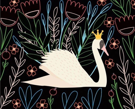 Auzou Wydrapywanka Rajskie ptaki 5+ 76725