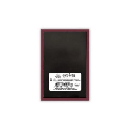 Peron 9 3/4 Magnes Harry Potter